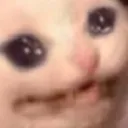 Cat Sob cat_sob Discord Emoji