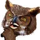 ZULOWL ZULOWL