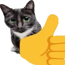 catthumbs