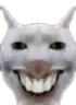 XX