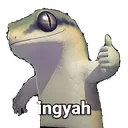 ingyah
