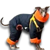 eumppapaswag