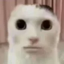 muzzy_shocked muzzy_shocked