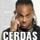 cerdas