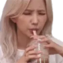 sypainedsip