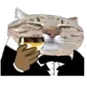 pluhan