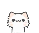 cat_please