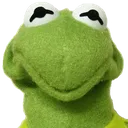 kermit_stare kermit_stare