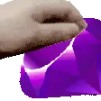 ruby_anim_pet