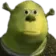 bruh_shrek