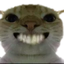 Cat_Smile