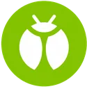 bug