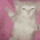 catChilling