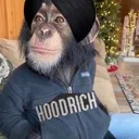 parmvirsingh