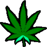 weedplant