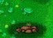 satori_appears