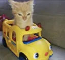 y_drive