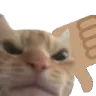 ThumbsDownCat