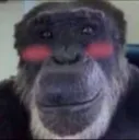 owo