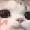 CatCute