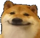 dogeSmile