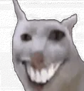 teeth teeth