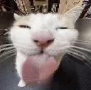 GUGACHIN