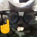 Cat_nerd