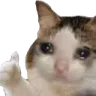 sad_thumbup