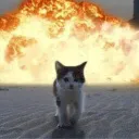 GCZCATEXPLOSION