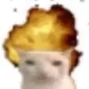 fd_CATEXPLOSION Discord Emoji