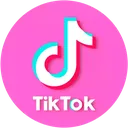 1631552802pinktiktoklogo Discord Emoji