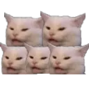 Pentacat1bigger Discord Emoji