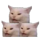 Triplecat Discord Emoji