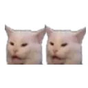 Doublecat Discord Emoji