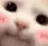 z_catblush z_catblush