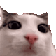 ezgif33ef1b3ffcd2