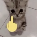 ihatefrance ihatefrance
