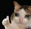 cryingthumbsup
