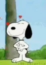 xaidoginlove