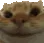 sisisi sisisi