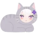 snackcat