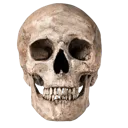 fskull