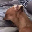 aaaaaaa