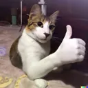 ThumbsUpCat