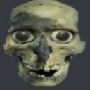 stareskull