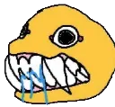 bitemaim