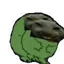 xddsegz xddsegz