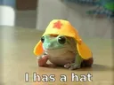 Frog_hat