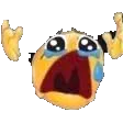 nooo nooo